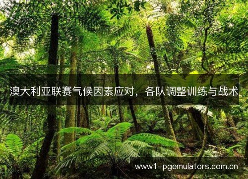 澳大利亚联赛气候因素应对，各队调整训练与战术